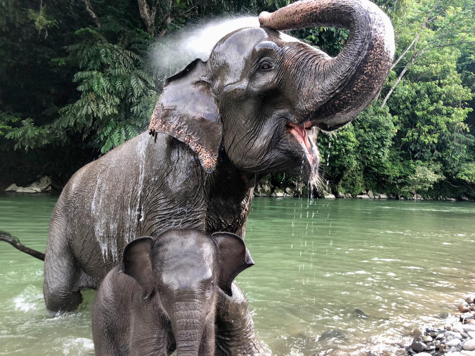 Balade en vélo au village